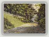 Gambier8 - Hill at Gambier
