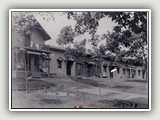 Hiawatha Park2 - Cottages