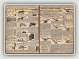 Sears 0079